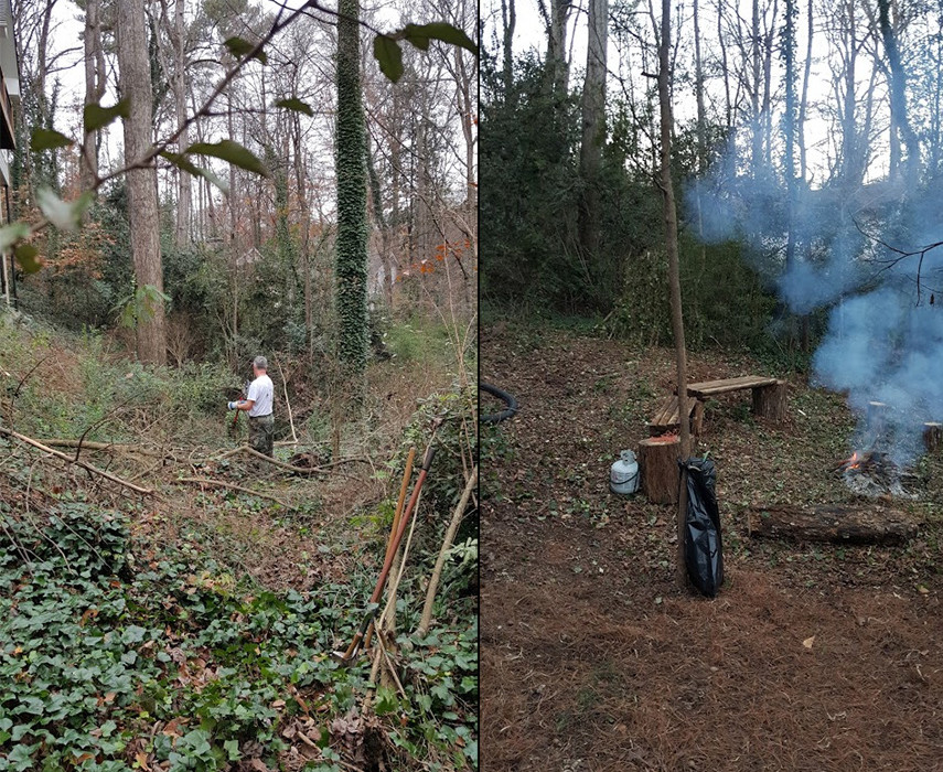 before and after clearing our brush