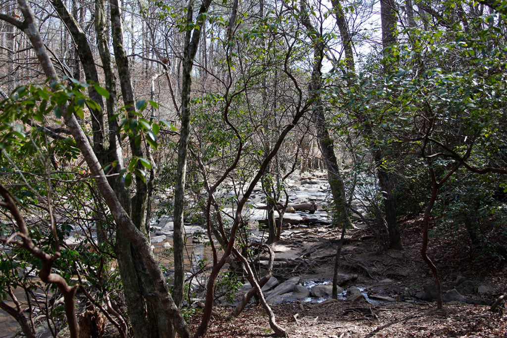 Sope Creek