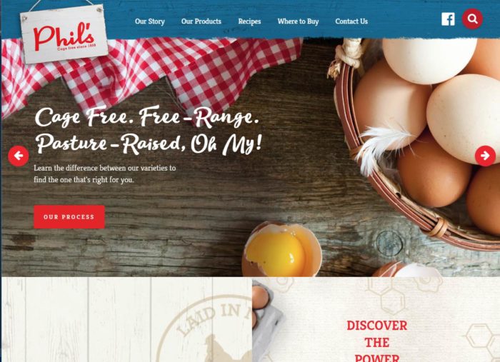 Phils Eggs website design